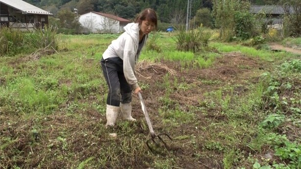 自給自足1年目のシングル女性「めっちゃ楽しい！」試行錯誤も地域交流も全部楽しむ田舎暮らし＜自給自足ファミリー2025秋＞