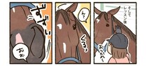 乗馬レッスン後に馬が見せたある“仕草”…信頼を滲ませる態度に「和解できた雰囲気がいいね」【漫画】