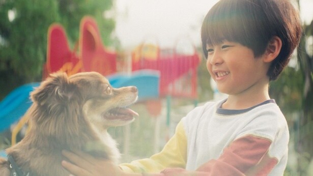 ダスキンのWEBCM「想い愛、ずっと。」篇より