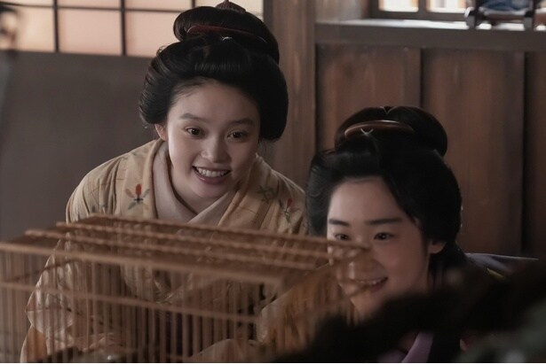 ウグイスを眺めるトキ(高石あかり)