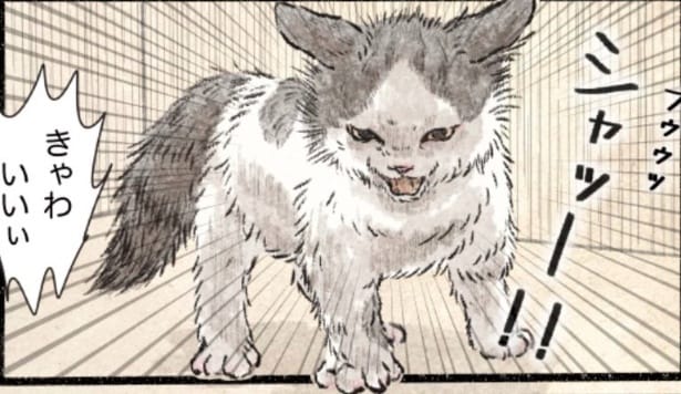 『怒りのコネコ様』より