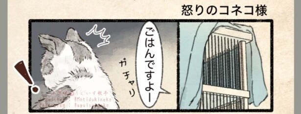 『怒りのコネコ様』より