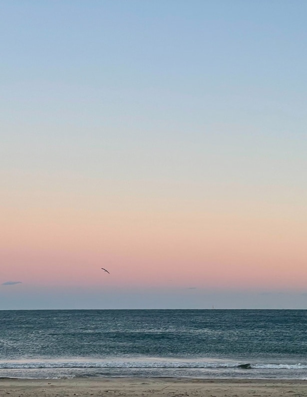 現地の風景。いるだけで穏やかな気持ちになれる海。