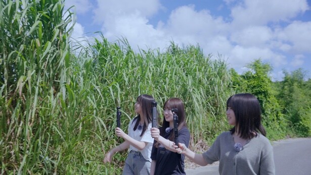 乃木坂46愛宕心響＆海邉朱莉＆増田三莉音が沖縄の自然に興奮「サバンナや」海外からの観光客とも交流＜乃木坂46 6期生稼働中＞
