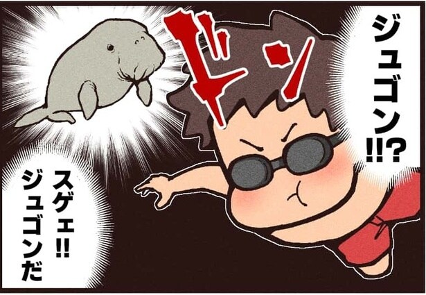 『ジュゴン』より