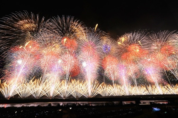 2025長岡まつり大花火大会「復興祈願花火フェニックス」