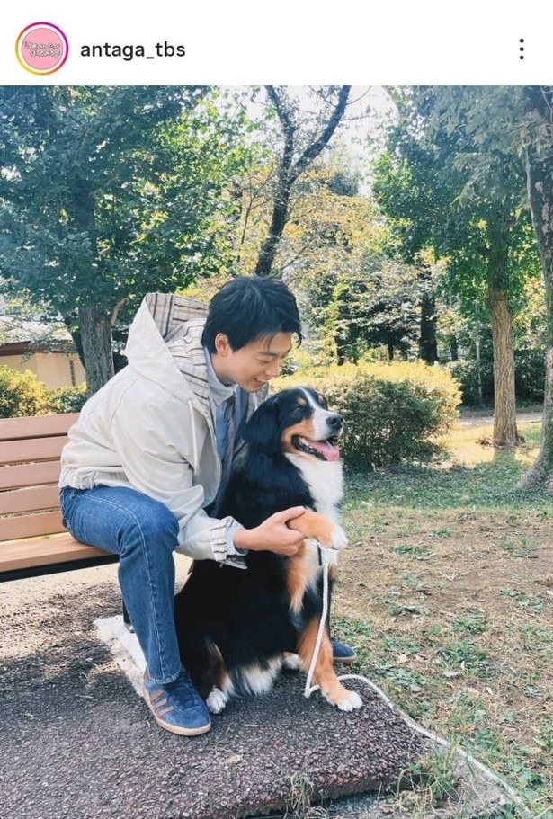 【写真】かわいいワンちゃんと戯れる竹内涼真