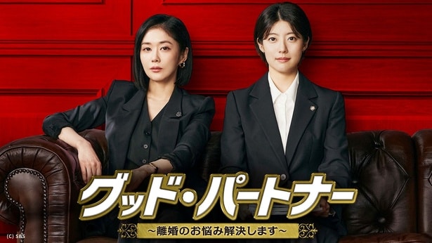 グッド・パートナー〜離婚のお悩み解決します〜