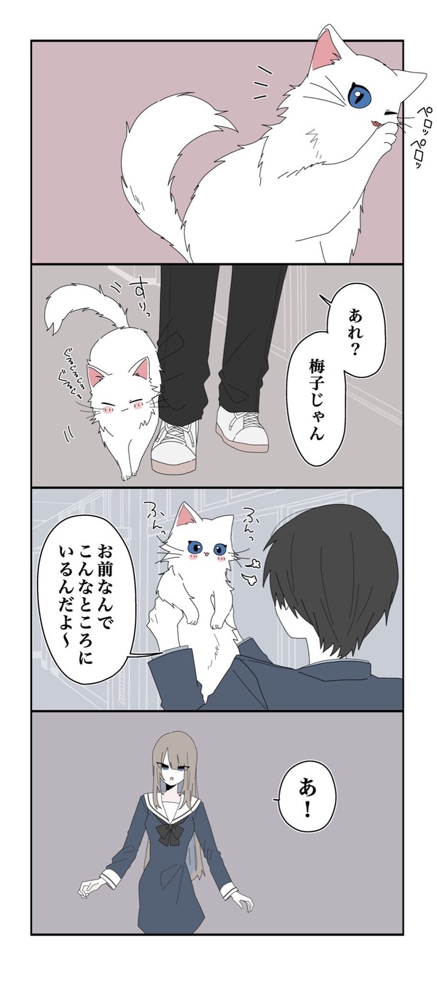 『ミカヅキのお嬢様備忘録／執事の嫌な予感』より