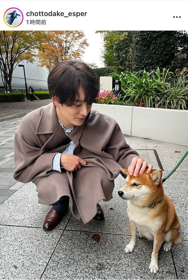 【写真】岡田将生“文人”、“佐助”と触れ合う「貴重な2ショット」