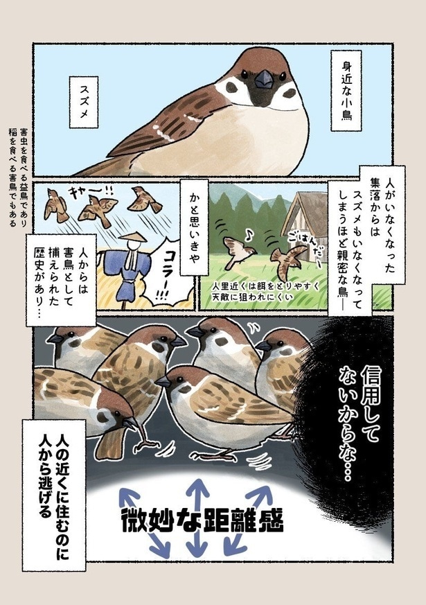 『身近で目にする鳥たちの意外と知らない素顔！？』 