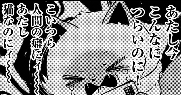 【漫画】推しの炎上に祝福＆拒否＆傍観… SNSで可視化されるオタク猫たち／うちにオタクの猫がいます 第9話(後編)