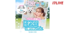 “ワンちゃん”と一緒に誌面デビュー…「ペットと年越し！〜『月刊わんこ』に載りたいわん〜」、「17LIVE」で開催