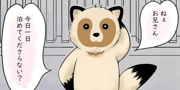 『たぬきサン』が話題