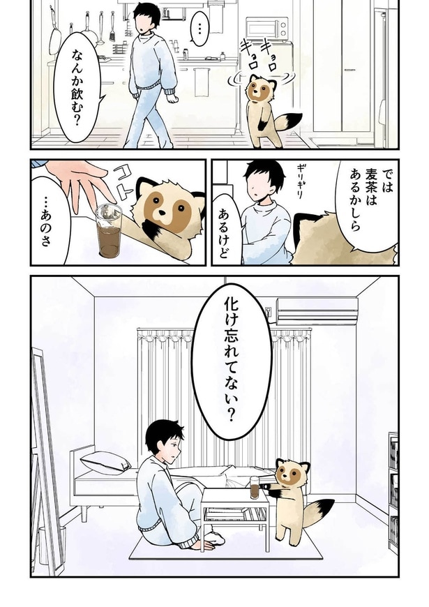 『たぬきサン』(1／35)