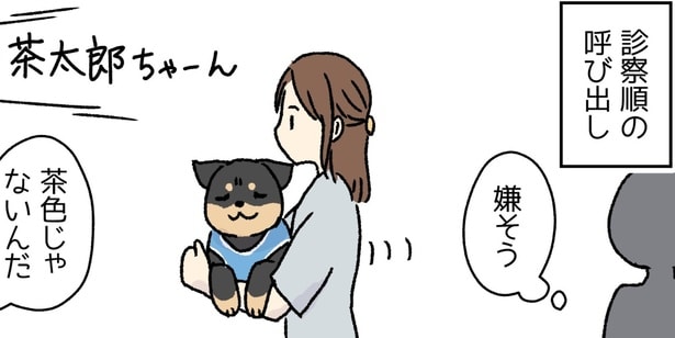 『待合室で呼ばれるいろいろなお名前がつい気になっちゃうという話』が話題