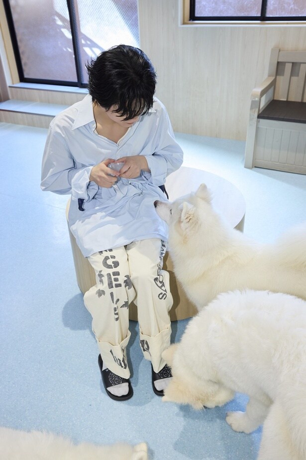 なんかかわいい(無意識にハートを作っているのか、何なのか…)