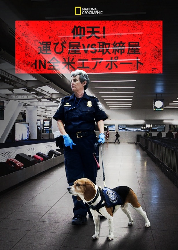 「仰天!運び屋vs取締屋in全米エアポート」 シーズン8