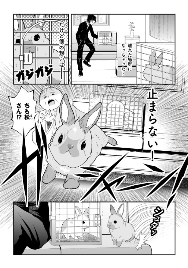 『ウサゴク～極道、ウサギも極めます～』より