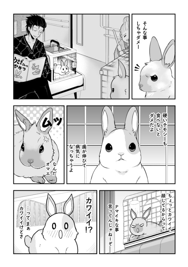 『ウサゴク～極道、ウサギも極めます～』より