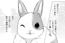 病院で出会った“あの子”に想いを寄せるうさぎ…初恋の行方が「ただただかわいくて好き」【漫画】