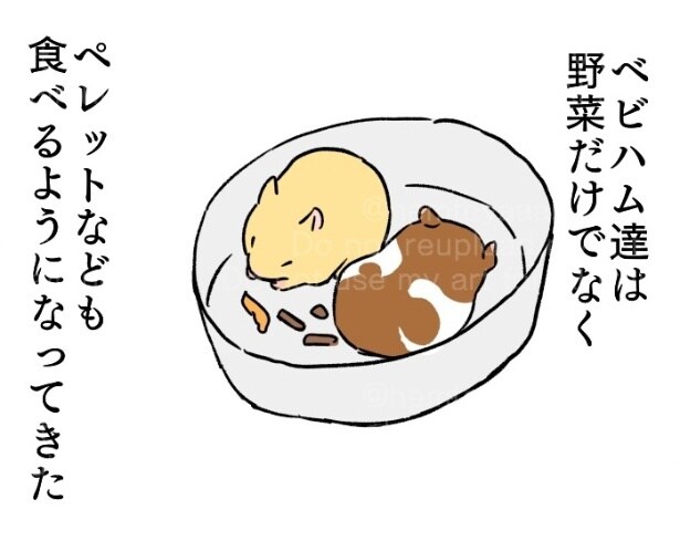 『ベビハム用給水器』より