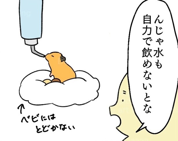 『ベビハム用給水器』より