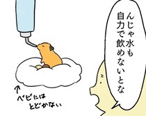 子どもハムスター用の低い給水器…なぜか母親が使い始め「どっちもかわいい動きしてて好き」【漫画】
