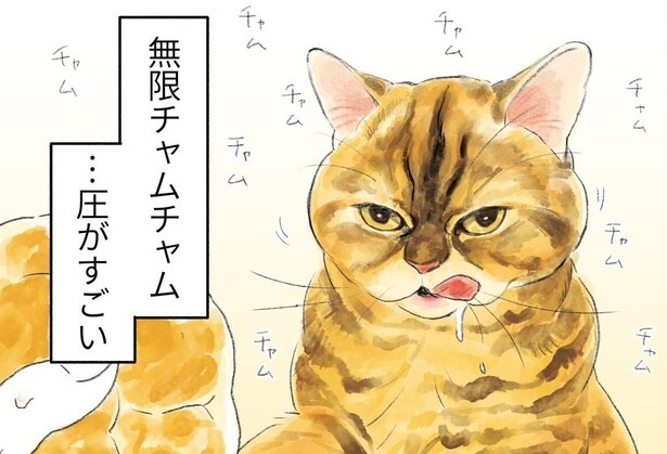 無限フスフスから無限チャムチャム…愛猫の愛しい場面の数々に「100回『いいね』押したい」【漫画】