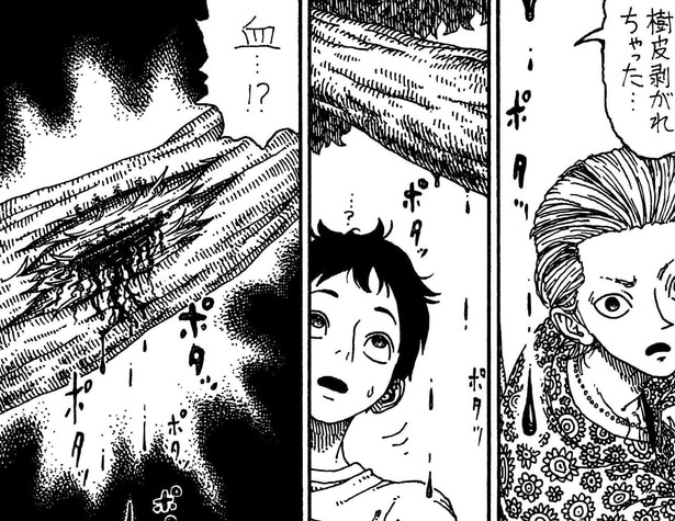 樹皮がはがれた箇所から人の血が…