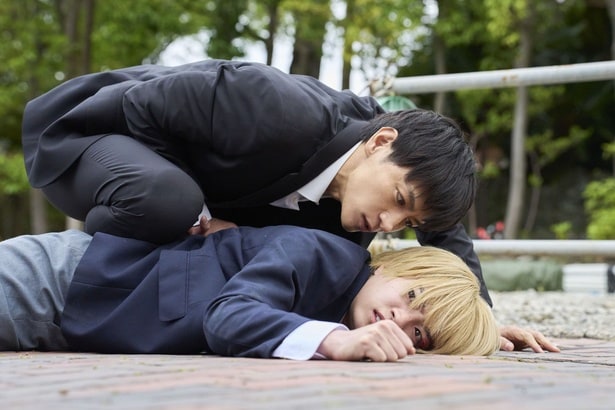 主演・西畑大吾(なにわ男子)「マトリと狂犬」第1話場面写真