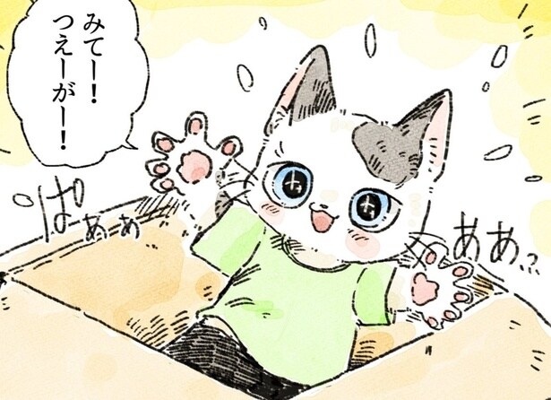ダンボールに喜ぶチビ