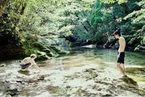 河瀬直美監督8年ぶりのオリジナル脚本映画に永作博美、長谷川京子らがコメント　新場面写真＆予告も公開＜たしかにあった幻＞