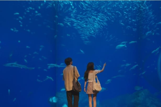 赤楚衛二“大河”、アクシデント続きの初デートの中、カン・へウォン“リン”に一世一代の愛の告白<キンパとおにぎり>