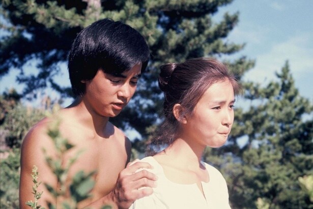 「パーマネント・ブルー 真夏の恋」