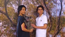 藤ヶ谷太輔＆横尾渉“わたたい”がケアンズで2人旅「中学生からのつき合いだけど、僕らあんまり噛み合ってない(笑)」