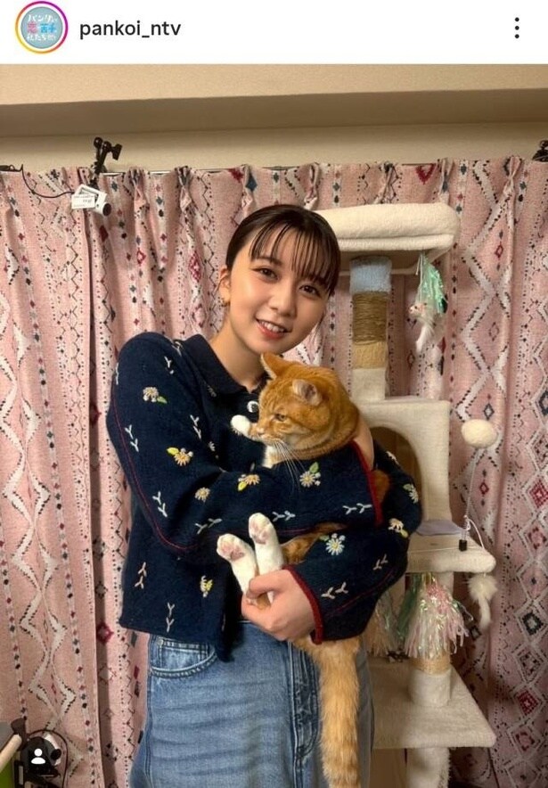 【写真】上白石萌歌、保護猫ちゃんを抱っこするほっこりショット