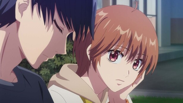 『花ざかりの君たちへ』