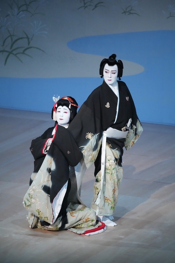 「蝶の道行」