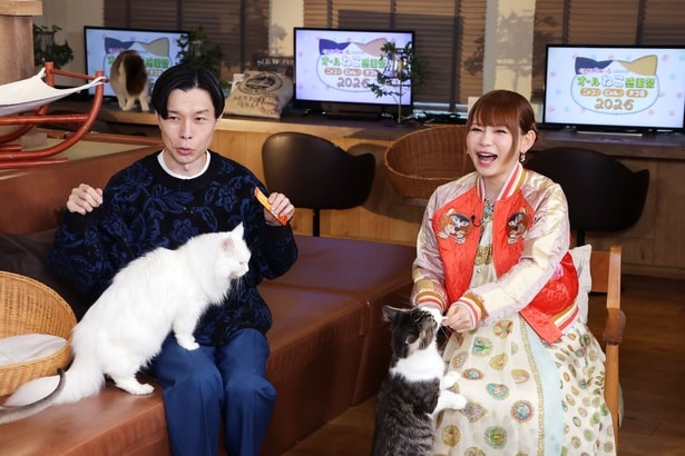 中川翔子、妊娠中の胎教は愛猫のゴロゴロ「そろそろ猫たちと双子を対面させたい」