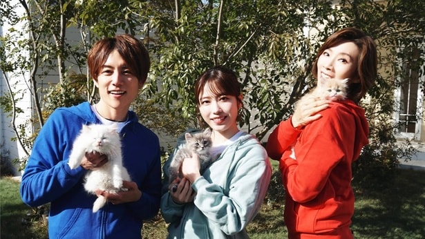 「ネコにゃん～子猫はじめて体験物語～」