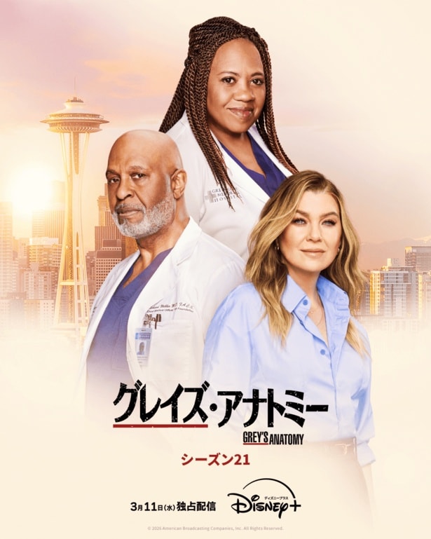 「グレイズ・アナトミー シーズン21」