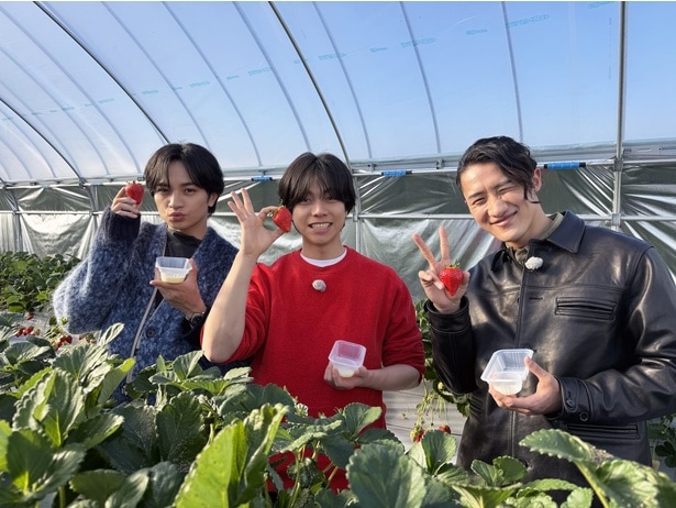 「中島・重岡・岩本の仲良しトリオ旅大使になりたいッ！」が放送決定