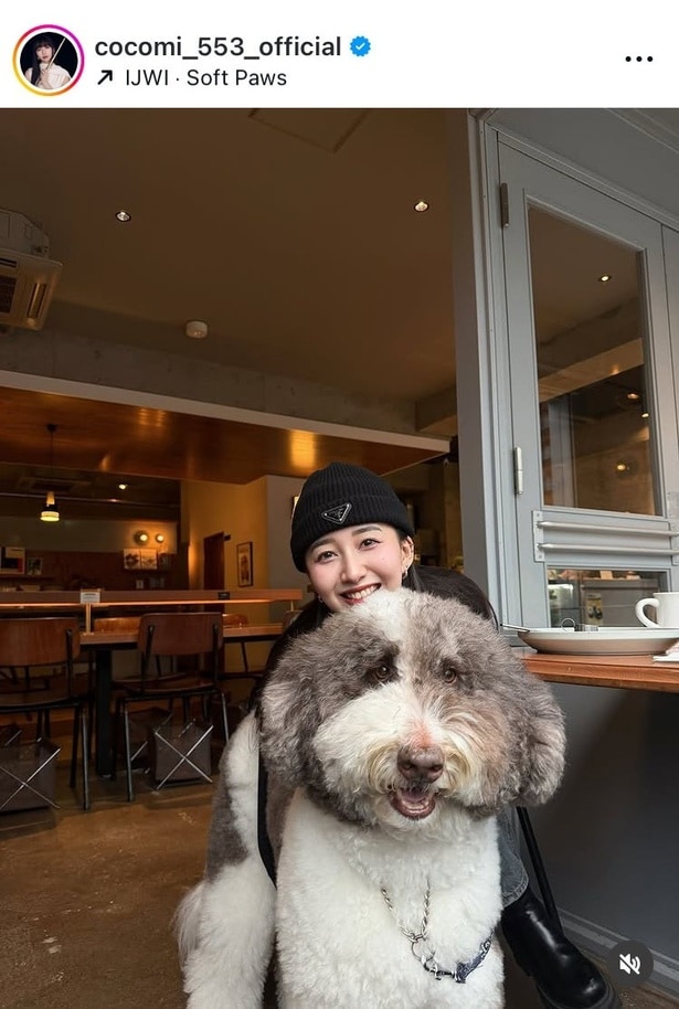 【写真】「高校同期とお茶時間」…Cocomi、愛犬とともにカフェでの笑顔がかわいらしい姿