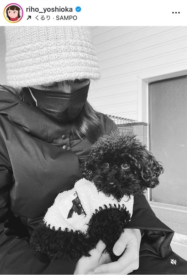  【写真】「犬への優しい眼差し」…吉岡里帆、腕の中のわんちゃんを包み込む姿