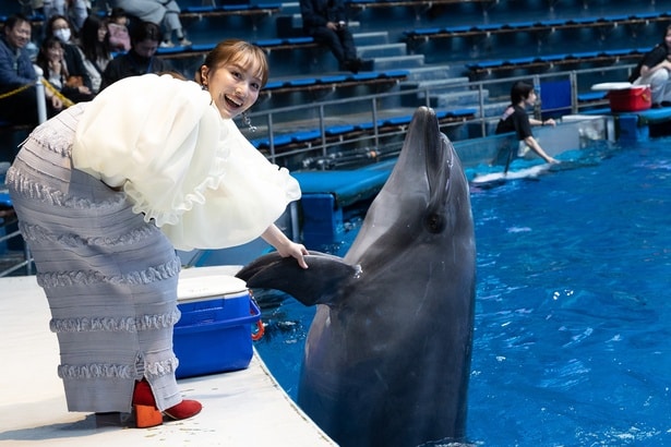 百田夏菜子が「Splash!!!!イルカとバシャ騒ぎ」のプレビューにサプライズ登場