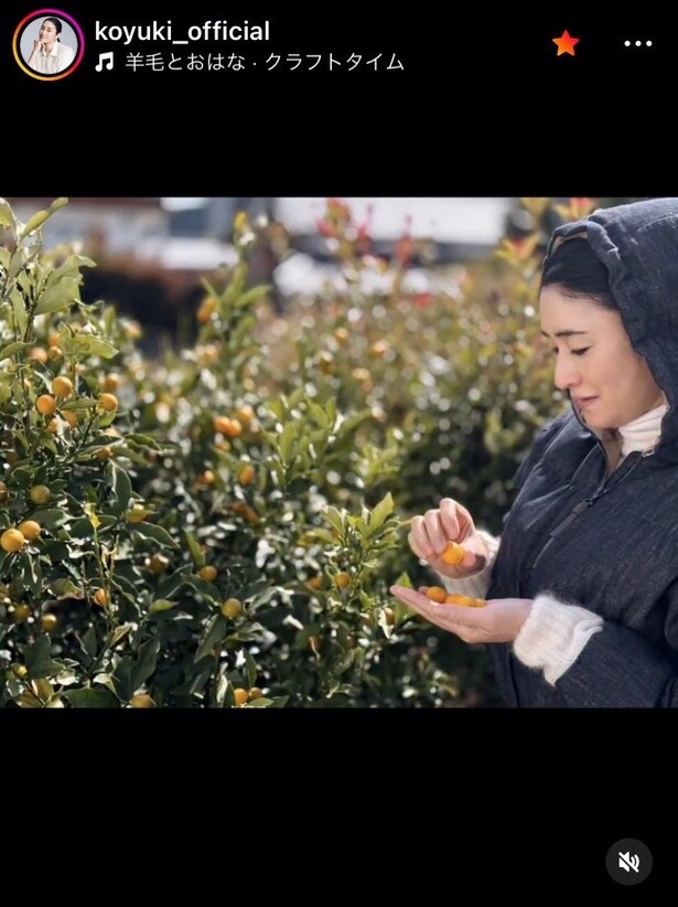 【写真】「修道女みたいで綺麗」…小雪、“柔らかな横顔”で金柑の実を手のひらに集める姿