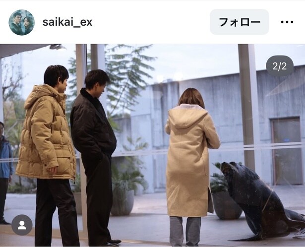 【写真】竹内涼真＆井上真央＆渡辺大知、水族館のアシカと見つめ合う撮影裏オフショット