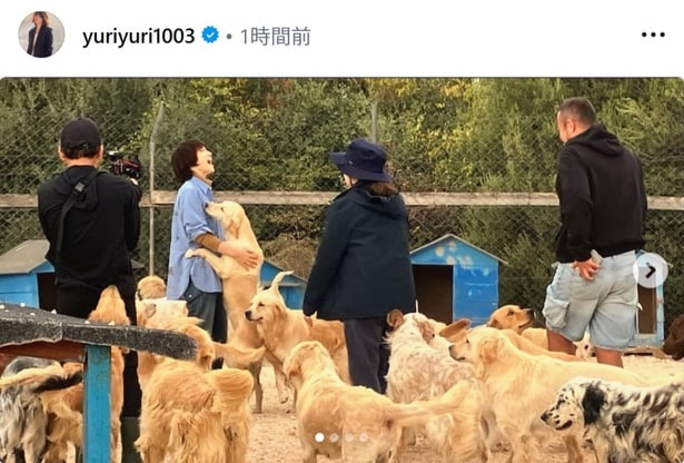 【写真】ブルーのシャツを着たナチュラルな姿の石田ゆり子、犬に囲まれ笑顔のショット