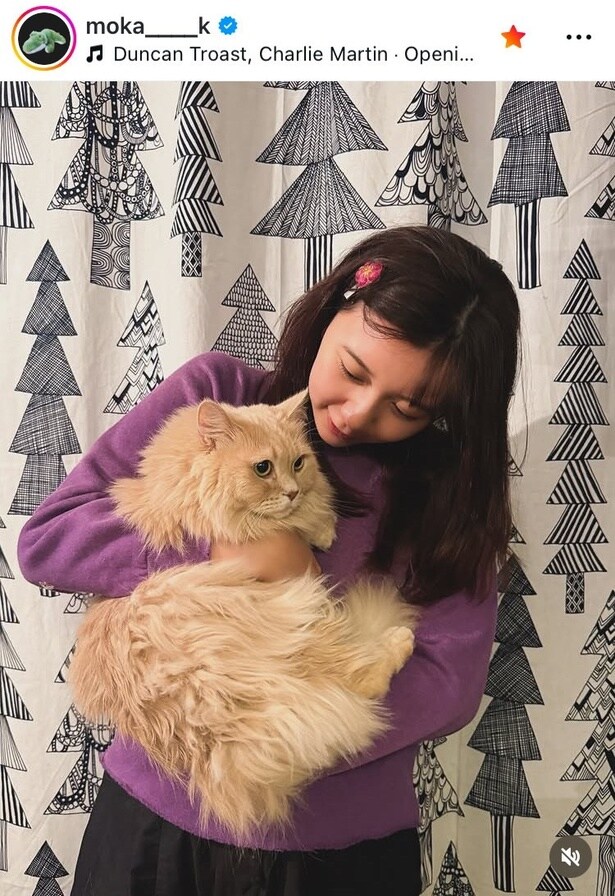 【写真】「おおきないぬと、ねこと、暮らしてみたい」…上白石萌歌、“温かな眼差し”で猫を抱く姿